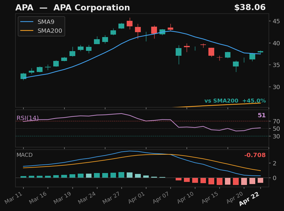 APA chart