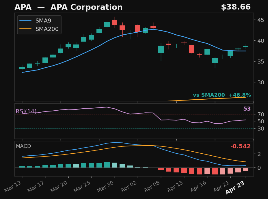 APA chart