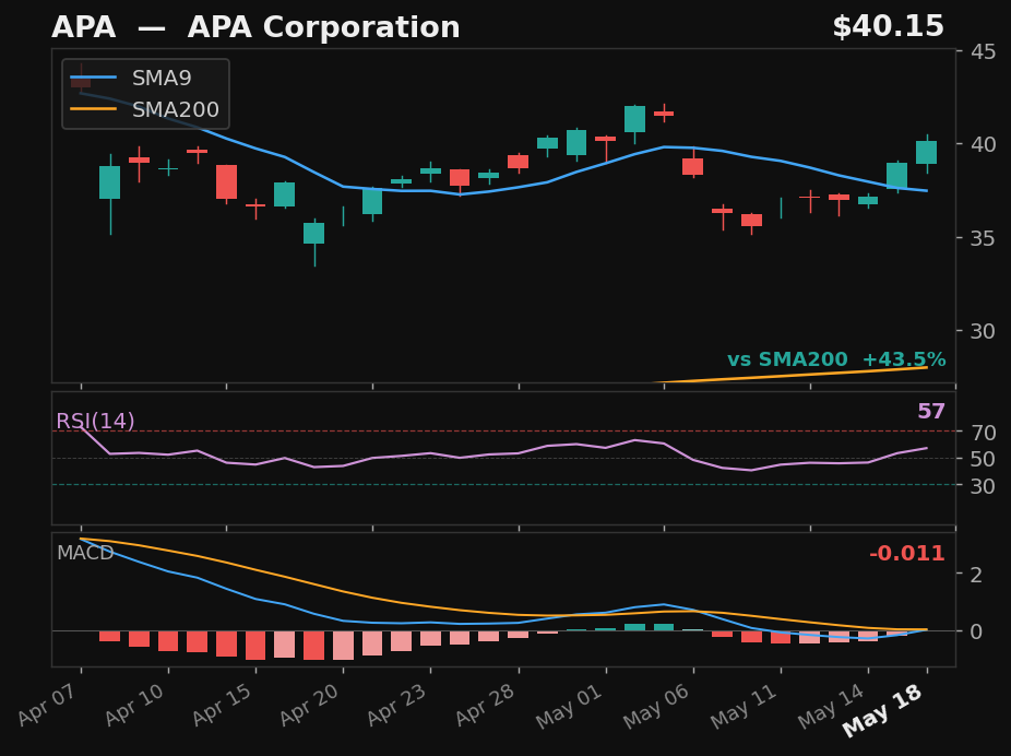 APA chart