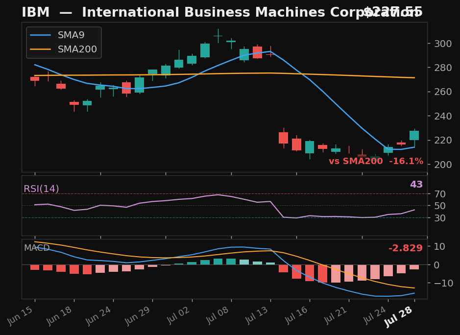 IBM chart