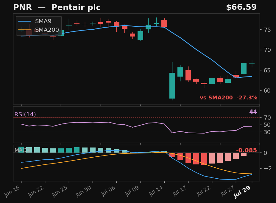 PNR chart